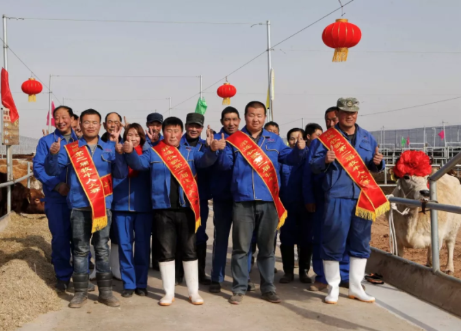 QQ截图20191112134841.png